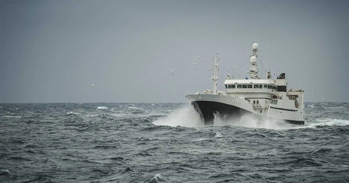 5questions Blogfeaturedimg1200x628