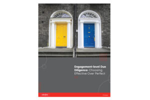 White Paper - Engagement-level Due Diligence: Choosing Effective Over Perfect - TN