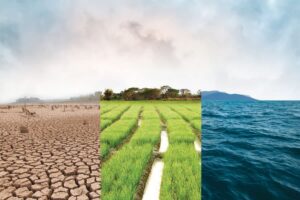 Climate change landscapes