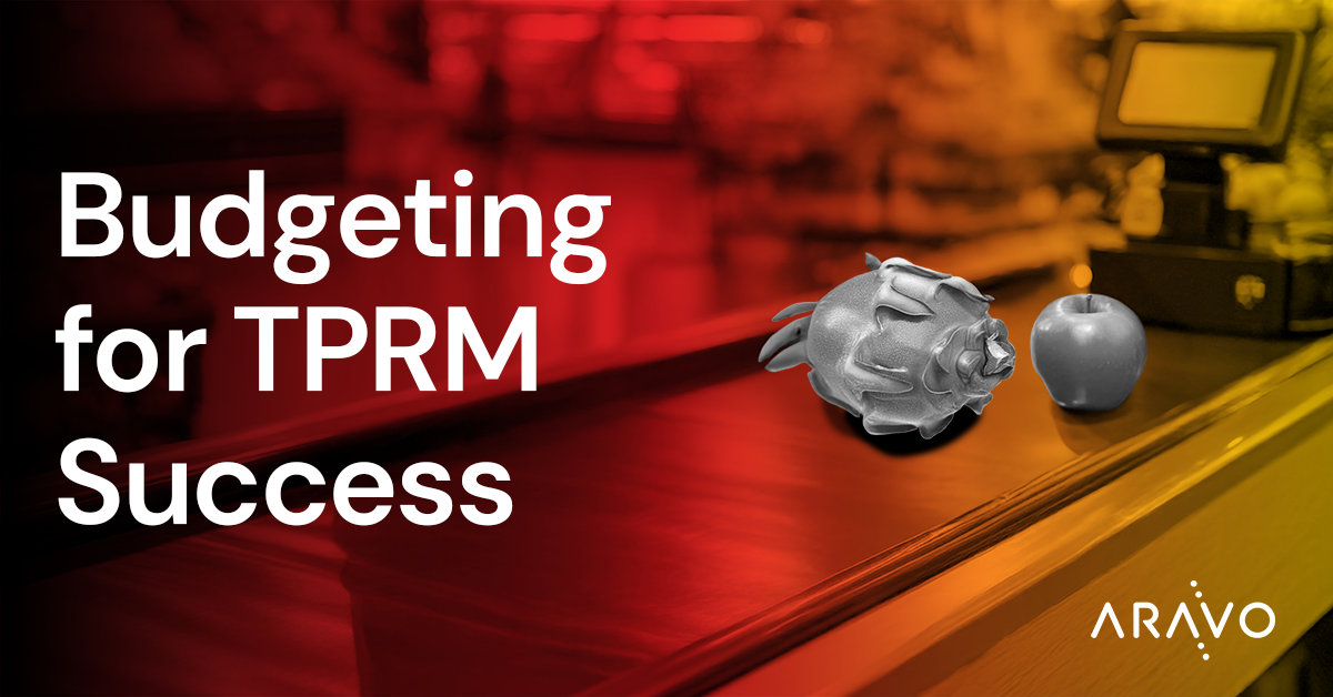 Budgeting for TPRM Success Feature Image